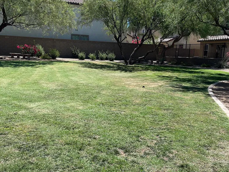 2382 W Gloria Ln — Photo 34