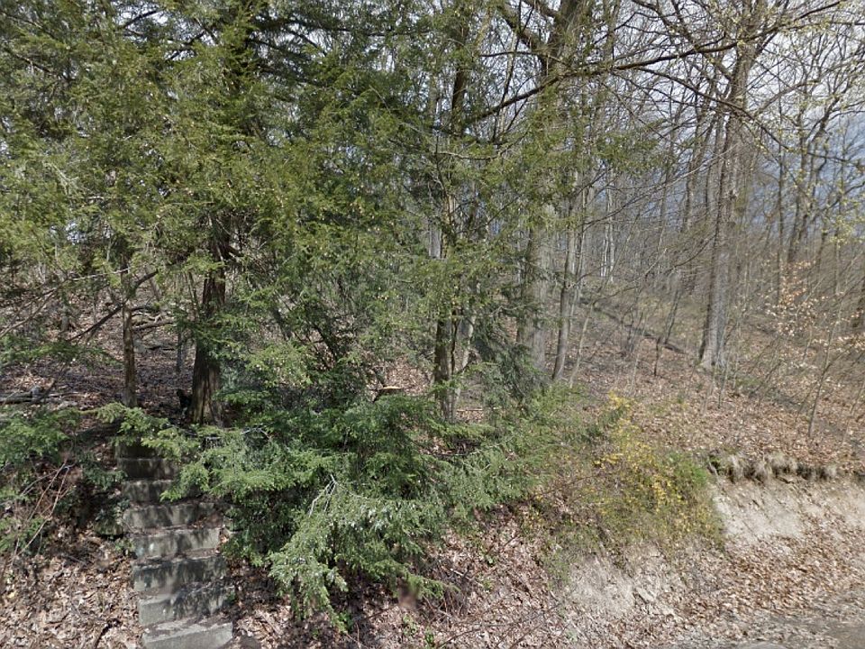 sloped wooded lot