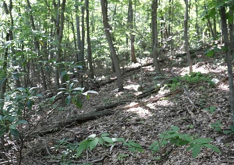 1st image of LOT 319 Ridge Run