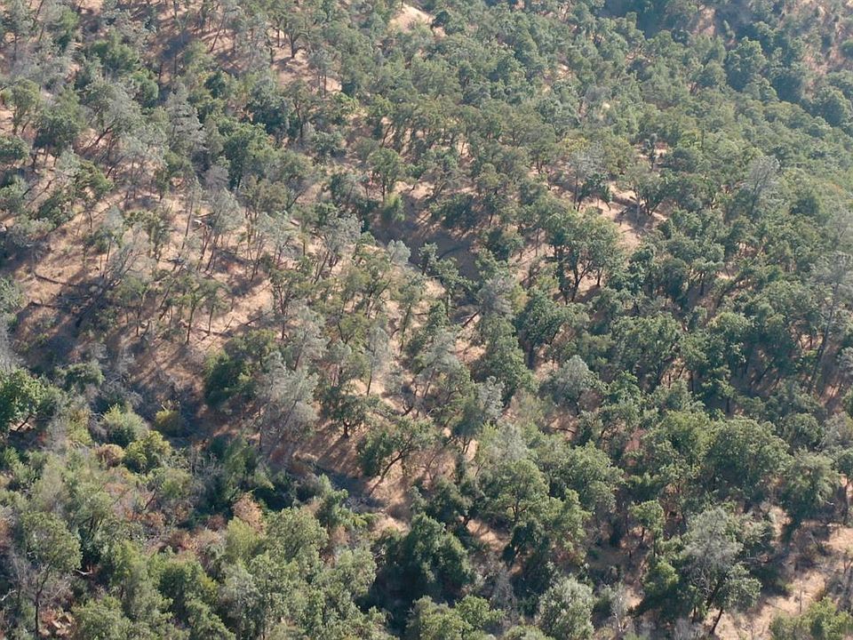 2nd image of 8 Longhorn Ridge Drive