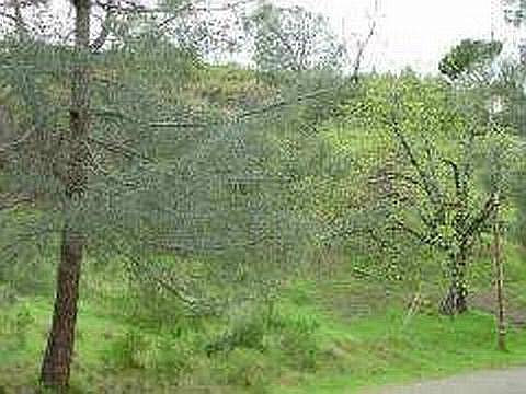 2nd image of 4977 Klamath Rd