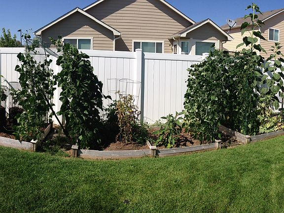 Backyard Garden