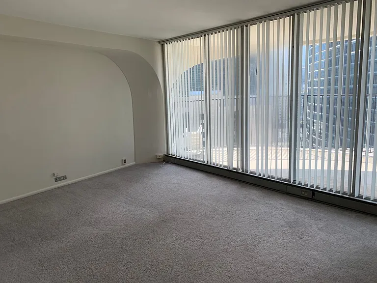 195 N Harbor Dr #3807 — Photo 18