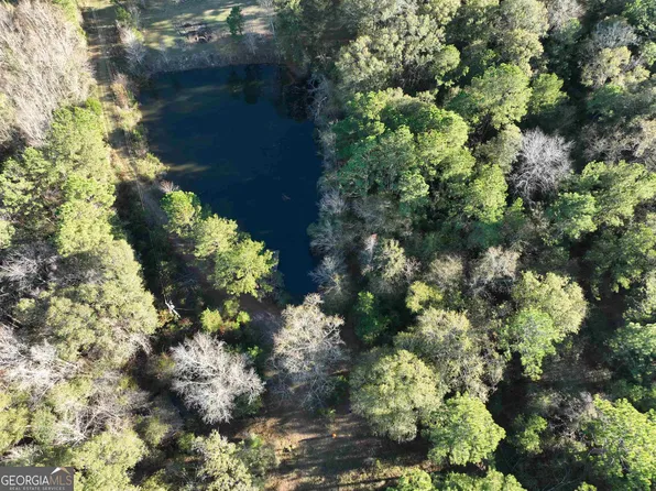 2153 Chester Hwy, Eastman, GA 31023