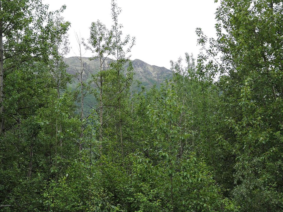 1st image of L1 B1 Magnaview Dr