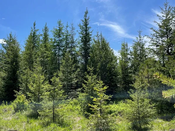 Elderberry Dr Parcel 8, Orofino, ID 83544