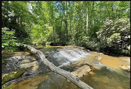 163 Mayfield Crossing Ln Photo 1
