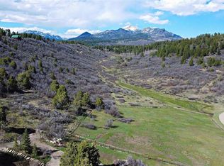 1210 Roush Dr, Pagosa Springs, CO 81147