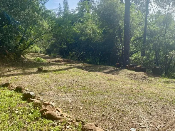 10075 Grub Creek Dr, Rough And Ready, CA 95975