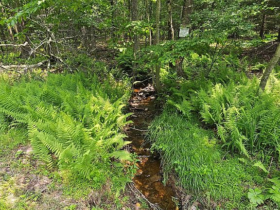 4th image of Lot 3 Woods Road