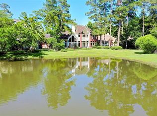 11 Scarlet Sage Pl, Spring, TX 77381