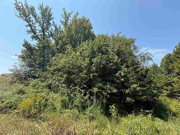 5th image of 0 Crad Baskin Dr Lot 12