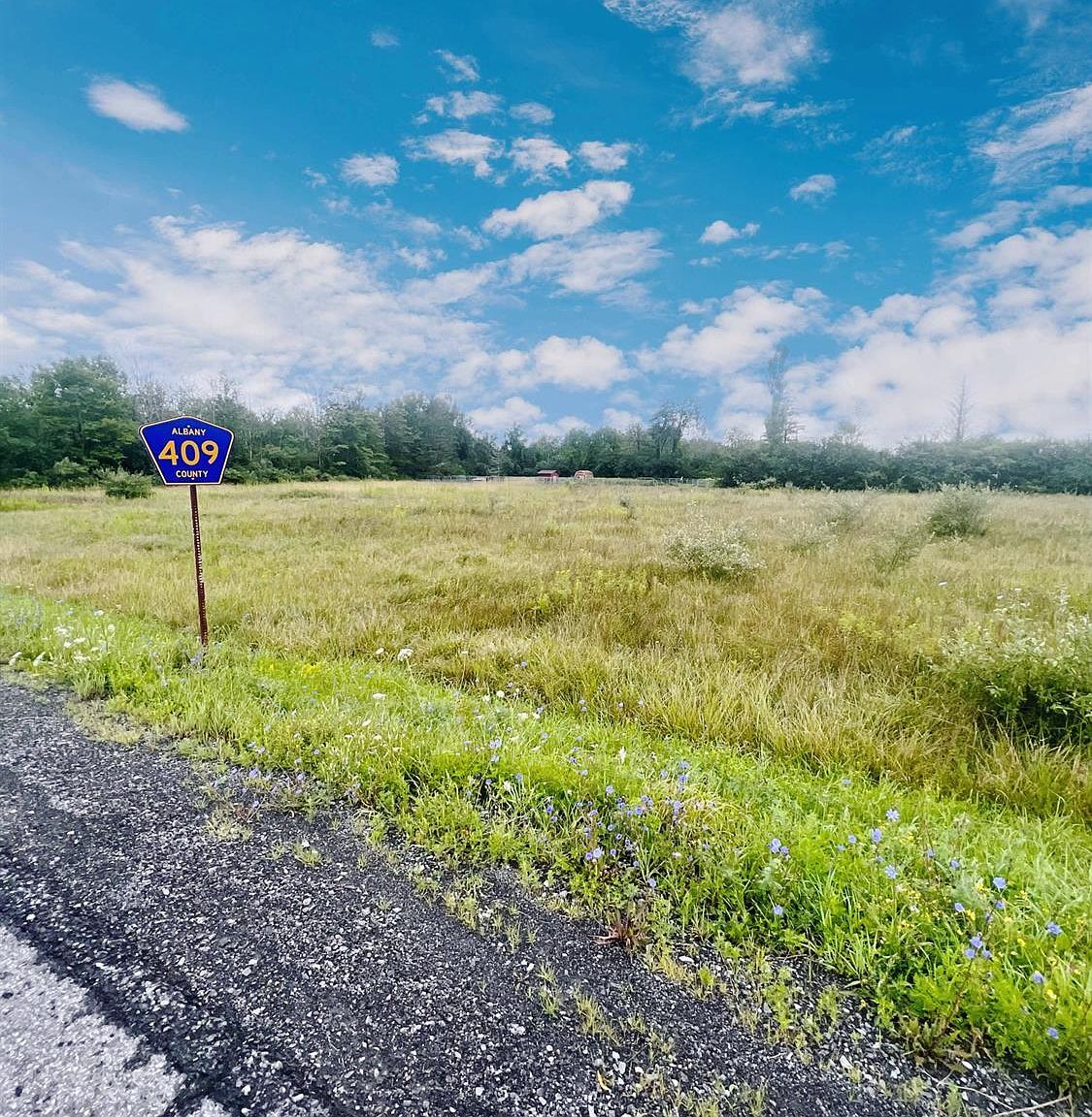 0 County Route 405 409, Westerlo, NY 12193 Zillow