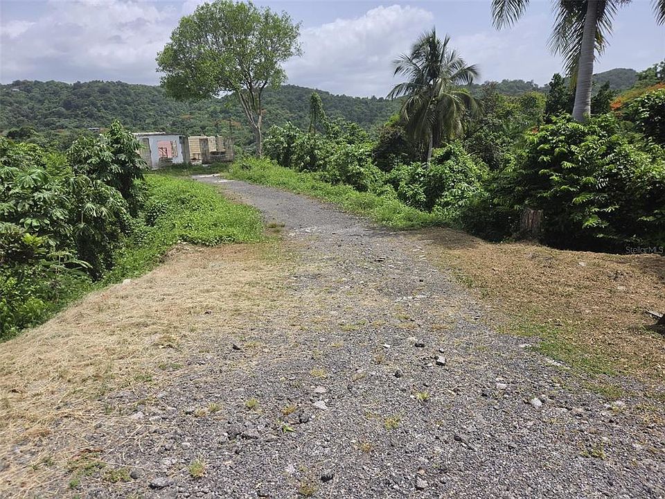 2nd image of Carr 348 Km 5.7 Int Bo Malezas