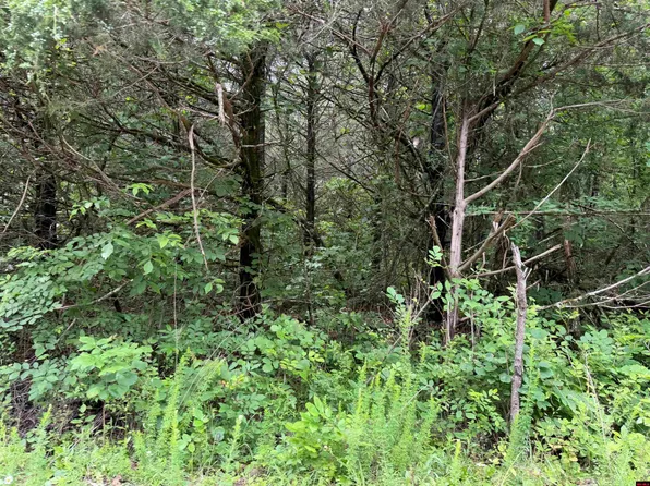 705-26034-000 Clark Ln, Horseshoe Bend, AR 72512