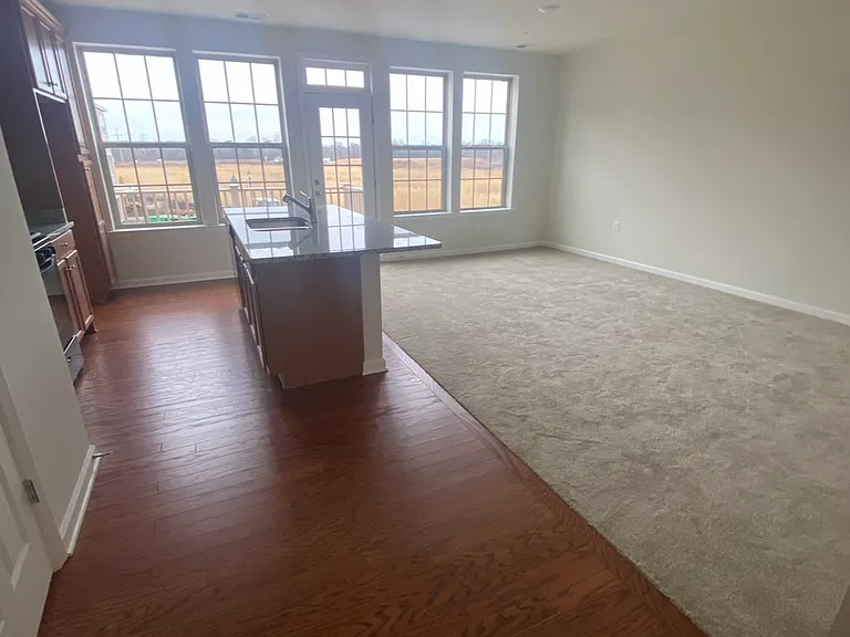 18 S Davenport St #1206 — Photo 10