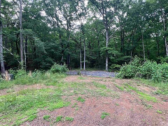 2nd image of 310 Cathedral Pines Ln