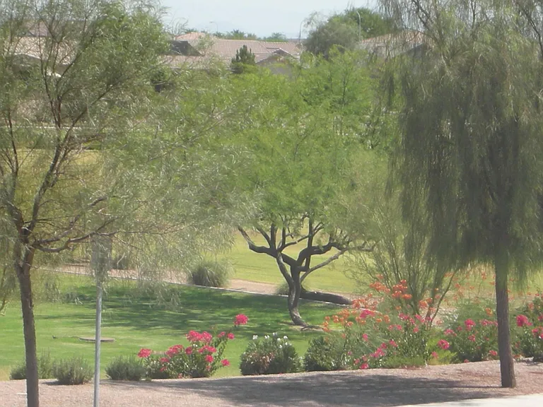 Lots of parks to stroll through.