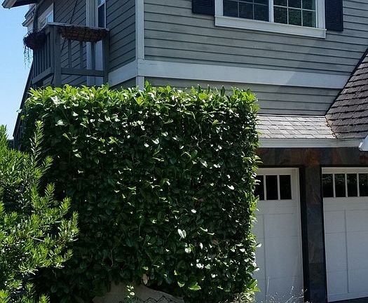 5th image of 11532 Lakeside Ave NE