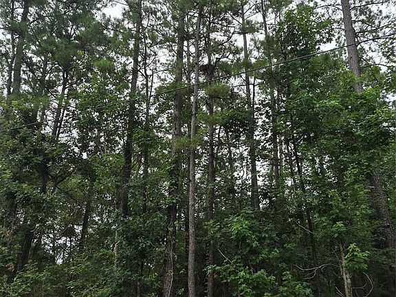 2nd image of 380 County Road 6494