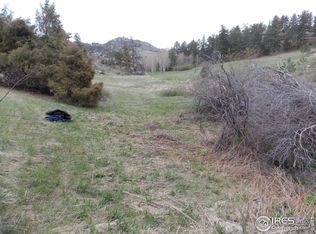 447 Crestone Way, Livermore, CO 80536