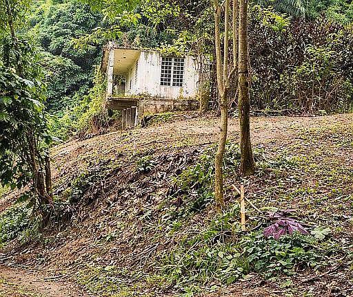 4th image of 373 Carretera Barrio Naranjo