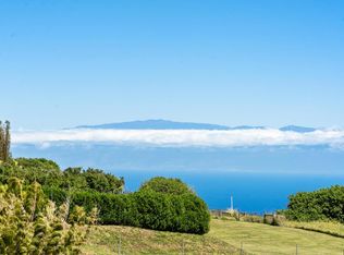 55-3285 Puu Mamo Dr, Hawi, HI 96719