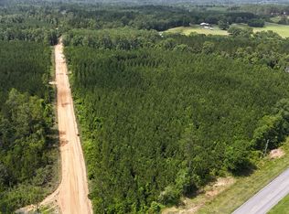 0 Douglas Ferry Rd, Chipley, FL 32428