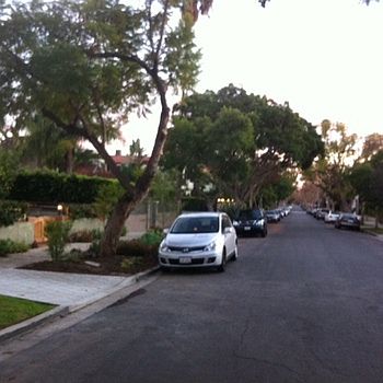 quiet tree lined street
