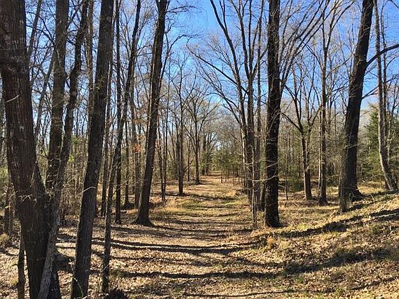 5th image of 189 County Road 3462