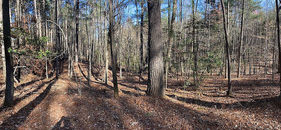 2nd image of 623 Breeze Hill Rd #7