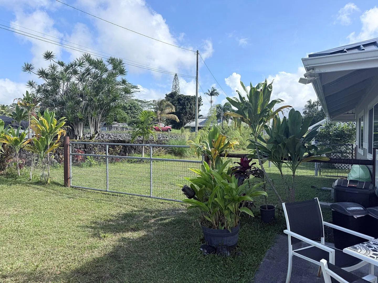 Pet-Friendly Furnished Studio in HPP | Fenced Yard Area — Photo 4