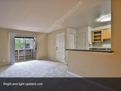 3238 Red Cedar Ter, Fremont, CA, 94536