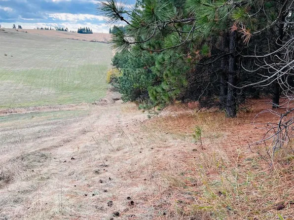 Tbd East Rd, Deary, ID 83823
