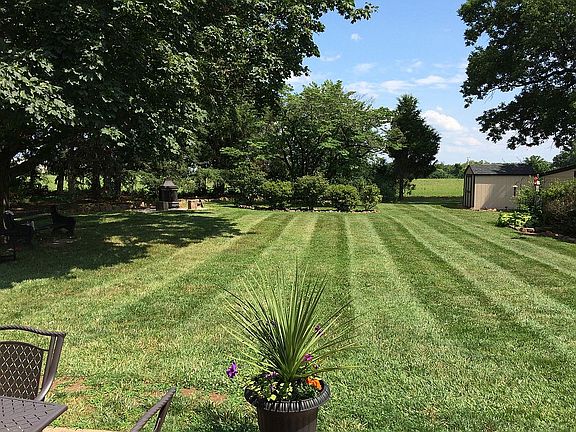Back yard
