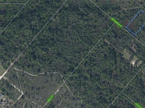 1220 Buttonwood St, Lake Placid, FL 33852