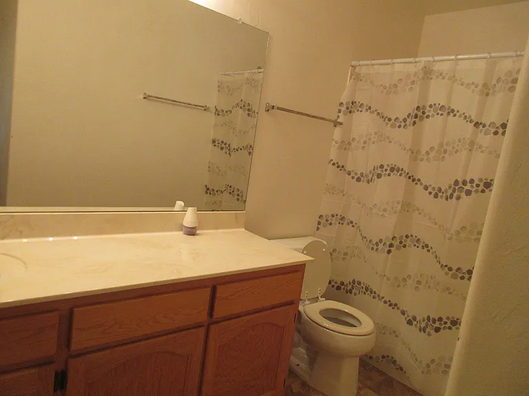 1737 W Corte De Cajamarca — Photo 17