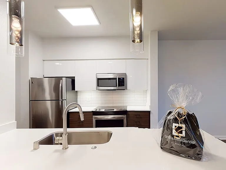 Apartment kitchen with stainless steel appliances, quartz countertops and wood-style flooring.