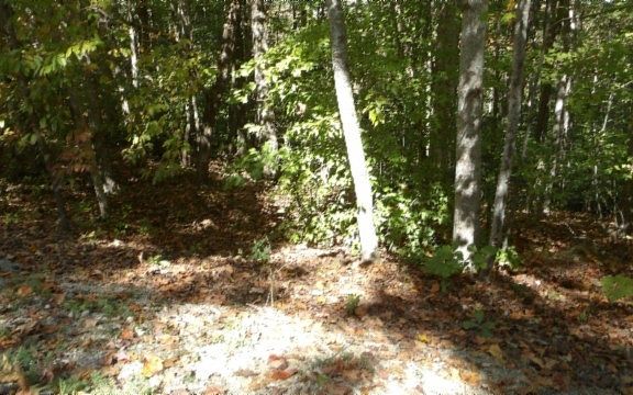 4th image of 0 Inland Ct Lot 2