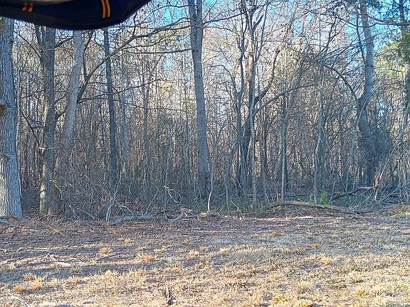 2nd image of 000000 Potter Rd