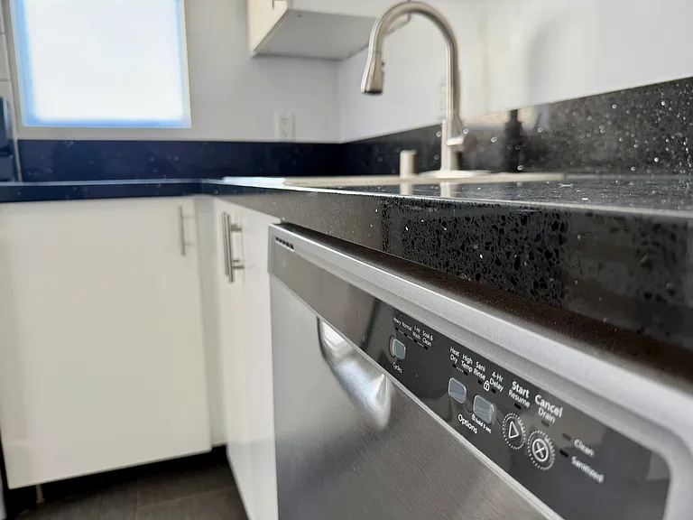 Stainless Steel dishwasher