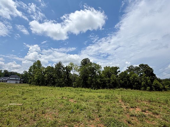 5th image of 2054 Daniel Johnson Way Lot 108