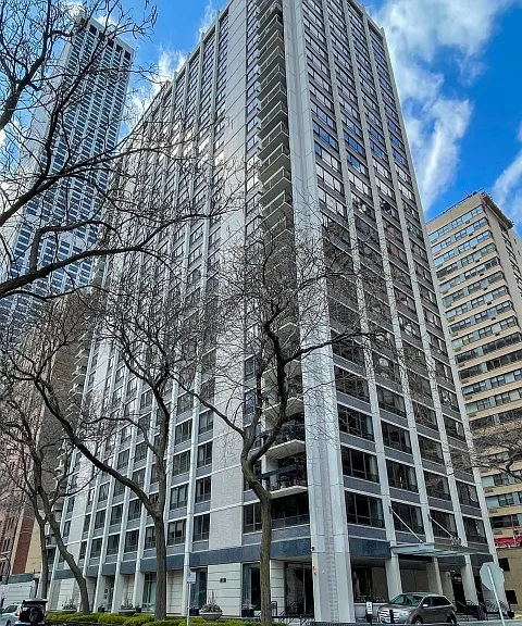 222 E Pearson St #1206 — Photo 10