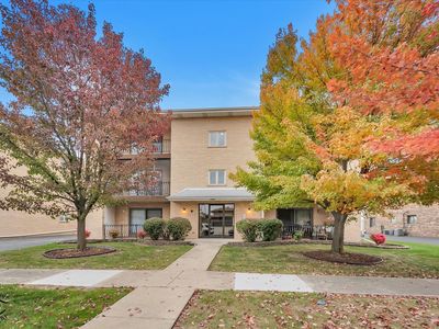 17003 Grissom Dr APT 2N, Tinley Park, IL, 60477