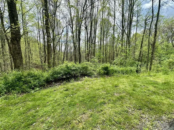 1 Deer Creek Trl, Maggie Valley, NC 28751