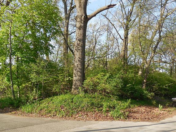 2nd image of 11584 Marquette Dr