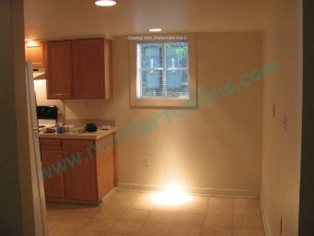 515 S Meldrum St — Photo 14