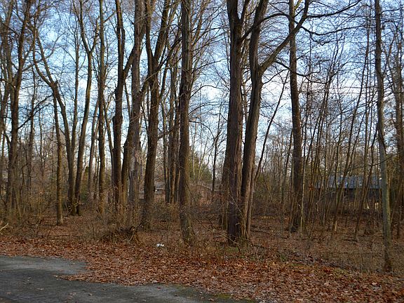Image 4: DSC_0361