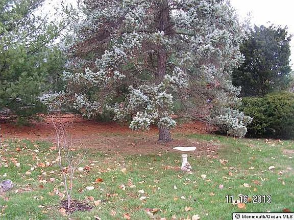 5th image of 1946 Mount Juliano Ln