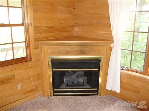 This gas fireplace heated the entire house during the big "black out" due to ice storm a few years ago.